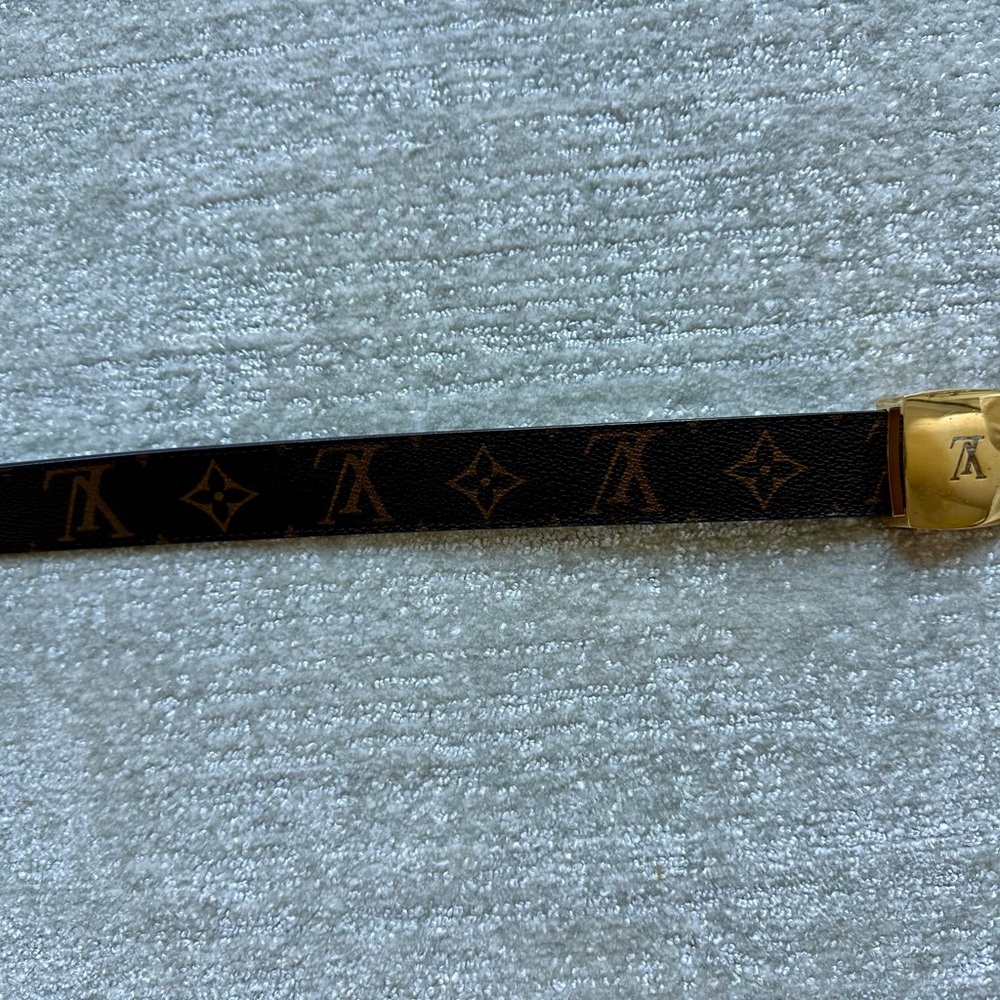 Luxury Louis Vuitton Brown and Gold Belt - Picture 2 of 6